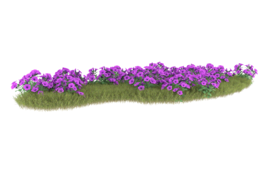 Çiçekli bir çalılığın vektör çizimi