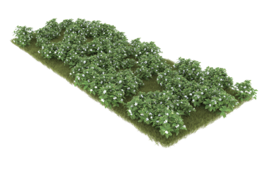 Üç boyutlu yeşil çalı beyazda izole edilmiş.