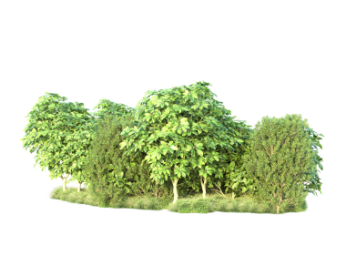 Beyaz arkaplanda yeşil ağaçlar var. Yazdırma ve web için yeşil yapraklı ağaçların 3 boyutlu resimlemesi