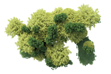 Beyaz arka planda izole edilmiş bir sonbahar çalısının 3 boyutlu görüntüsü