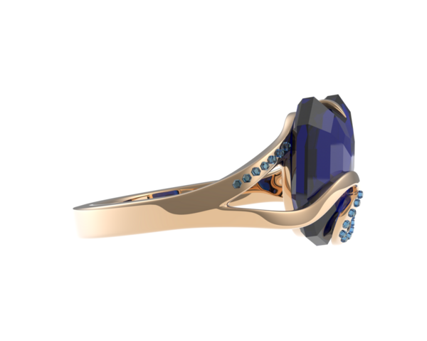 3 d иллюстрация анатомии мозга человека изолированы