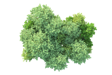 Siyah arkaplanda izole edilmiş yeşil çalı, 3 boyutlu illüstrasyon.