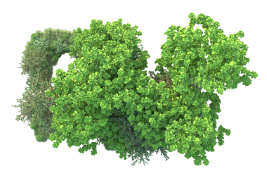 Siyah arkaplanda izole edilmiş yeşil ağaç, 3 boyutlu resim, illüstrasyon