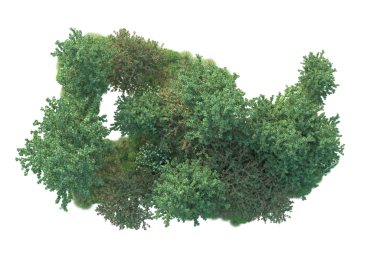 Yeşil yaprak siyah arkaplanda izole edilmiş. 3d illüstrasyon.