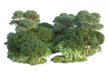 Ağaçlar ve yapraklar beyaz arka planda izole edilmiş. 3d illüstrasyon