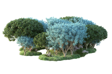 Beyaz arka planda yeşil çimenleri olan ağaçlar. 3d illüstrasyon - cg canlandırma