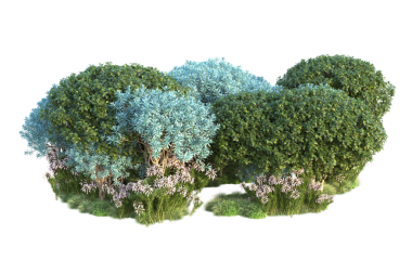 Siyah arka planda izole edilmiş yeşil bir çim ağacının 3 boyutlu görüntüsü