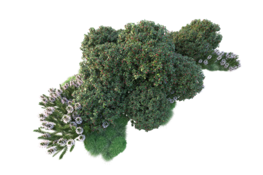 Bir çiçeğin 3 cg sunumu