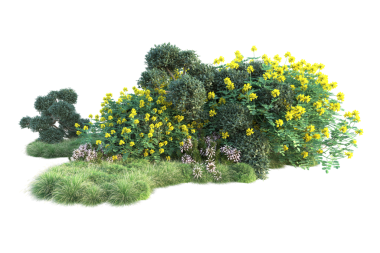 İzole edilmiş siyah arkaplanda sarı bir ağaç çalısı oluşturuluyor.