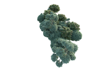 kavramsal yeşil ağaç şekli siyah arkaplanda izole edilmiş. 3d illüstrasyon.
