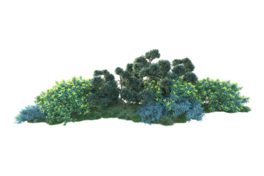 Siyah arkaplanda yeşil yapraklı ağaç