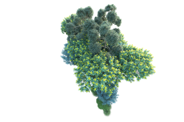 Bir virüs yapısının 3 boyutlu görüntülemesi