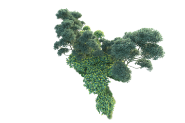 Siyah arkaplanda izole edilmiş yeşil ve siyah sıvı molekül modeli. 3 boyutlu resimleme.