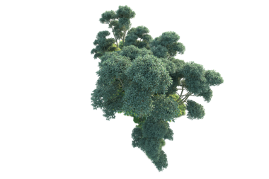 Siyah arkaplandaki yeşil fraktal bitkinin 3 boyutlu çizimi