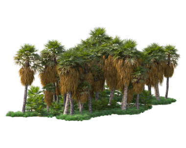 Bir ağacın 3 boyutlu görüntüsü