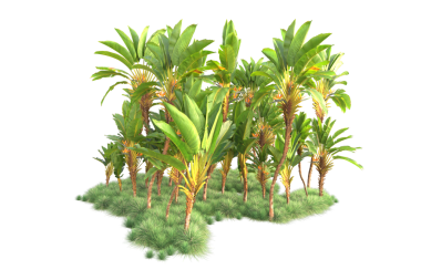 Beyaz arkaplanda palmiye ağacı