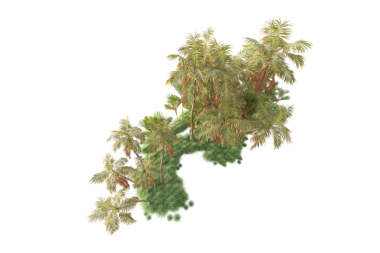 Beyaz arkaplanda yeşil çalı izole