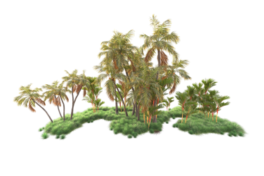 Ağaç izole beyaz zemin üzerine yeşil yeşillik ile.