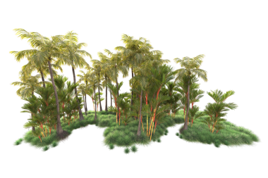 İzole edilmiş ağaç nesnesi. Orman ikonu. ağaç ve taç stok vektör illüstrasyonunun koleksiyonu