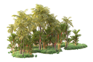 Beyaz arkaplanda izole edilmiş ağaçların 3 boyutlu çizimi