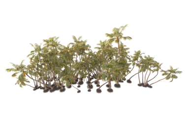 beyaz arkaplanda yeşil bitki