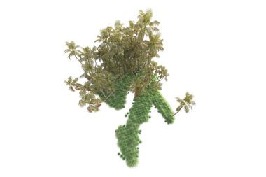 yeşil bitki beyaz arkaplanda izole edildi