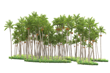 Beyaz arkaplanda izole edilmiş ağaç 3 boyutlu