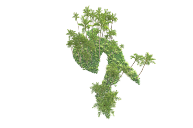 Beyaz arkaplanda izole edilmiş ağaç