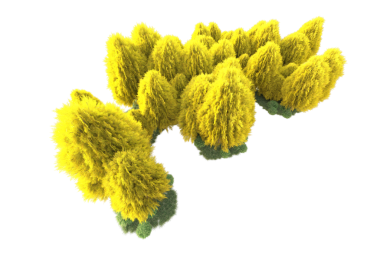 Beyaz arkaplanda yeşil çimen