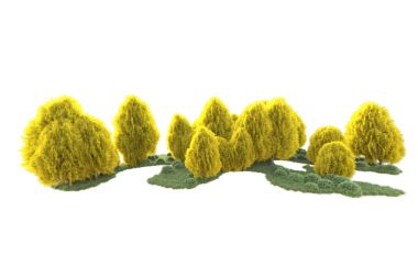 Sarı yapraklı sarı ağaç beyaz arka planda izole edilmiş. 3d oluşturma
