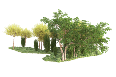 Beyaz arkaplanda 3 boyutlu oluşturulmuş ağaç