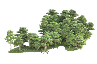 Beyaz bir arka plan üzerinde izole ağaç