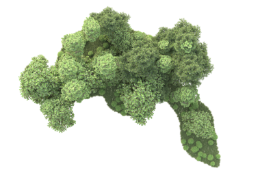 Brokoli beyaza izole edilmiş.