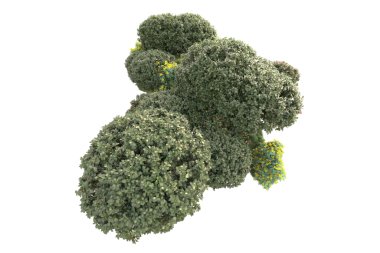 Coronavirus covid 'in soyut 3 boyutlu çizimi - Siyah arka planda 19.