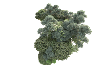 Siyah üzerine izole edilmiş 3 boyutlu brokoli.