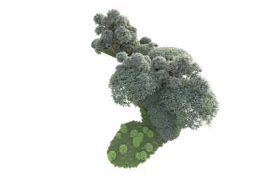 arkaplanda izole edilmiş yeşil İtalya haritası, 3 boyutlu illüstrasyon