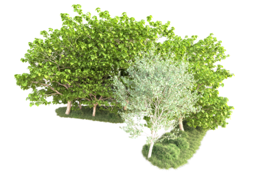 Beyaz arka plandaki ağaç. 3d resimleme