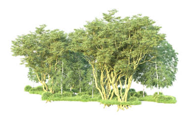 Beyaz arkaplan ile 3 boyutlu hazırlama ağacı