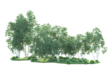 Beyaz arkaplanda yeşil ağaçlar var. 3 boyutlu resimleme