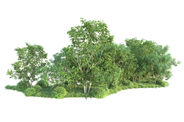 Beyaz arka planda izole edilmiş ağaç. 3D görüntüleme - illüstrasyon