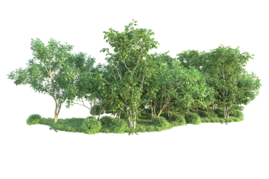 siyah zemin üzerine yeşil ağaç