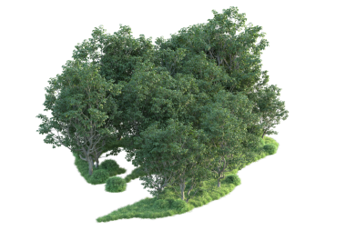 Yeşil ağaçların 3 boyutlu resimlendirmesi