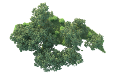 Beyaz arka planda izole edilmiş ağaç. 3d illüstrasyon - illüstrasyon