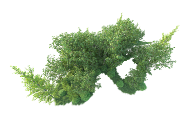 Yeşil çalı beyaz arka planda izole edilmiş. 3d oluşturma.