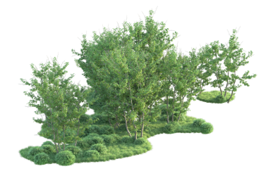 Siyah arkaplanda izole edilmiş ağaç, 3 boyutlu illüstrasyon.