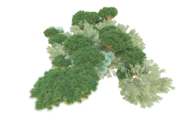 Herhangi bir grafik tasarımı için siyah zemin üzerinde izole edilmiş yeşil ağaç ve ormanın 3 boyutlu görüntülenmesi