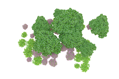 Beyaz arkaplanda izole edilmiş 3 boyutlu brokoli çizimi