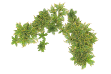 Yeşil yapraklardan oluşan alfabe