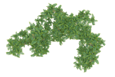 3 boyutlu bakteri virüsü