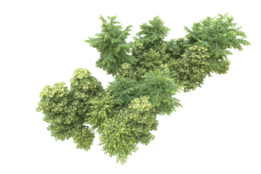 Siyah arkaplanda 3 boyutlu brokoli çizimi